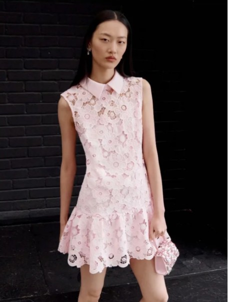 self-portrait pink lace dress used as a competitor research reference